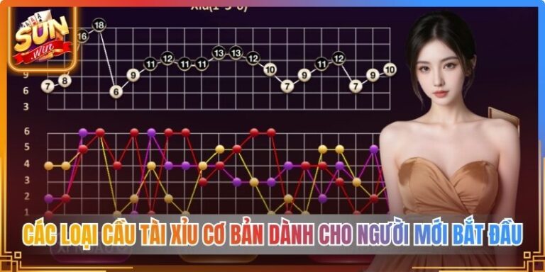 Các Loại Cầu Tài Xỉu